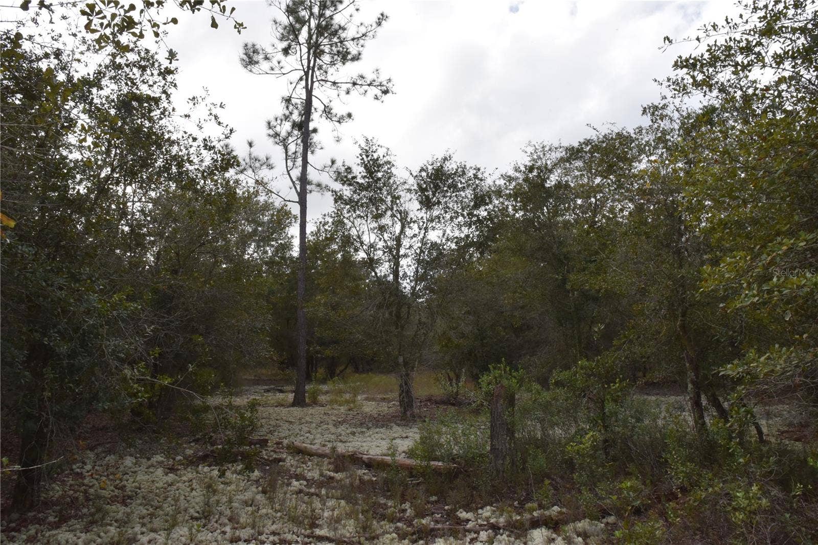 9150 SE US HIGHWAY 301, Hawthorne, FL 32640 9150 SE US HIGHWAY 301, Hawthorne, FL 32640