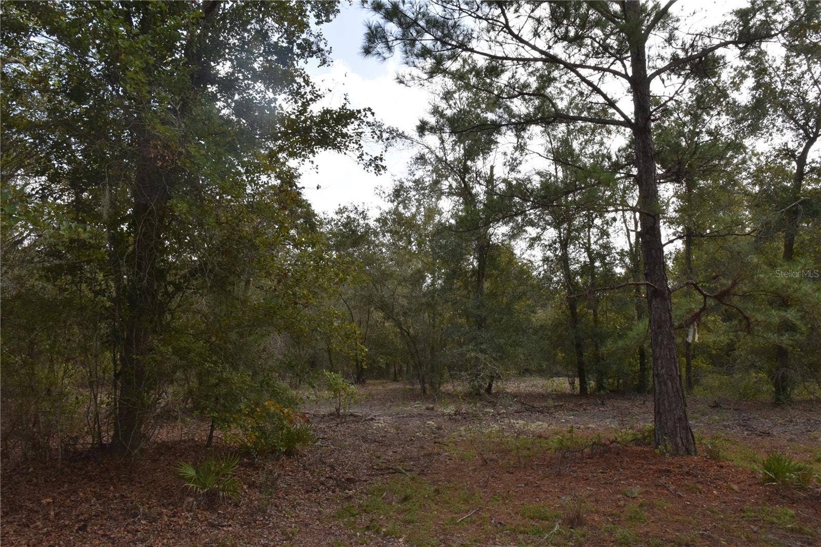 9150 SE US HIGHWAY 301, Hawthorne, FL 32640 9150 SE US HIGHWAY 301, Hawthorne, FL 32640