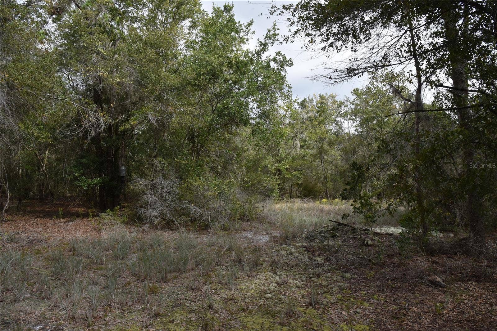 9150 SE US HIGHWAY 301, Hawthorne, FL 32640 9150 SE US HIGHWAY 301, Hawthorne, FL 32640
