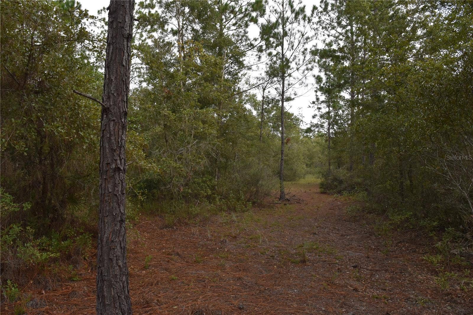 9150 SE US HIGHWAY 301, Hawthorne, FL 32640 9150 SE US HIGHWAY 301, Hawthorne, FL 32640