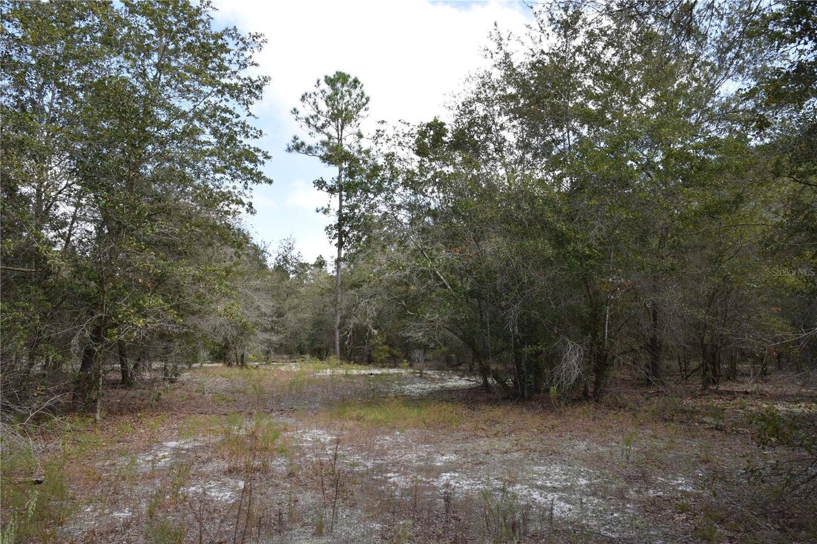 9150 SE US HIGHWAY 301, Hawthorne, FL 32640 9150 SE US HIGHWAY 301, Hawthorne, FL 32640