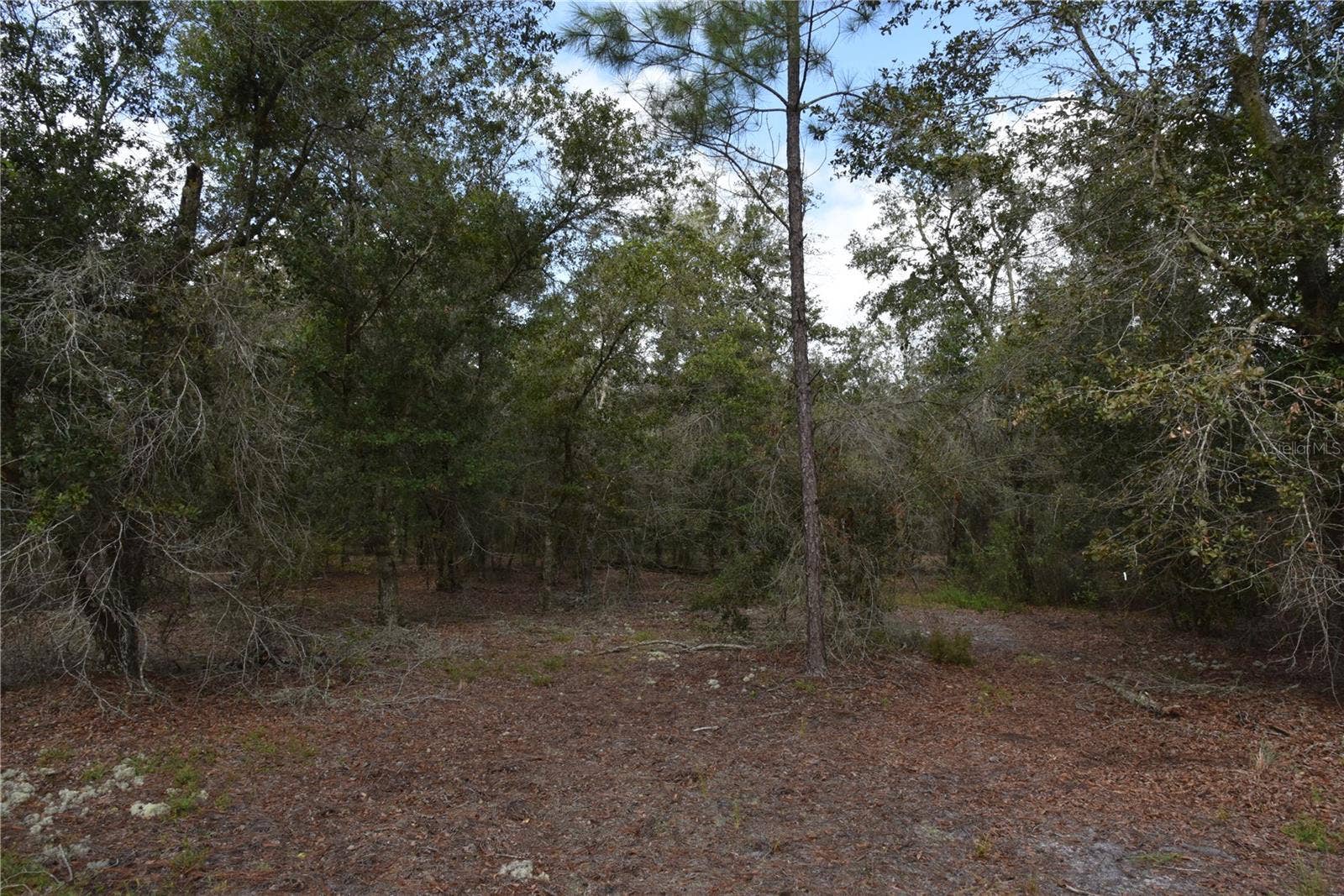 9150 SE US HIGHWAY 301, Hawthorne, FL 32640 9150 SE US HIGHWAY 301, Hawthorne, FL 32640