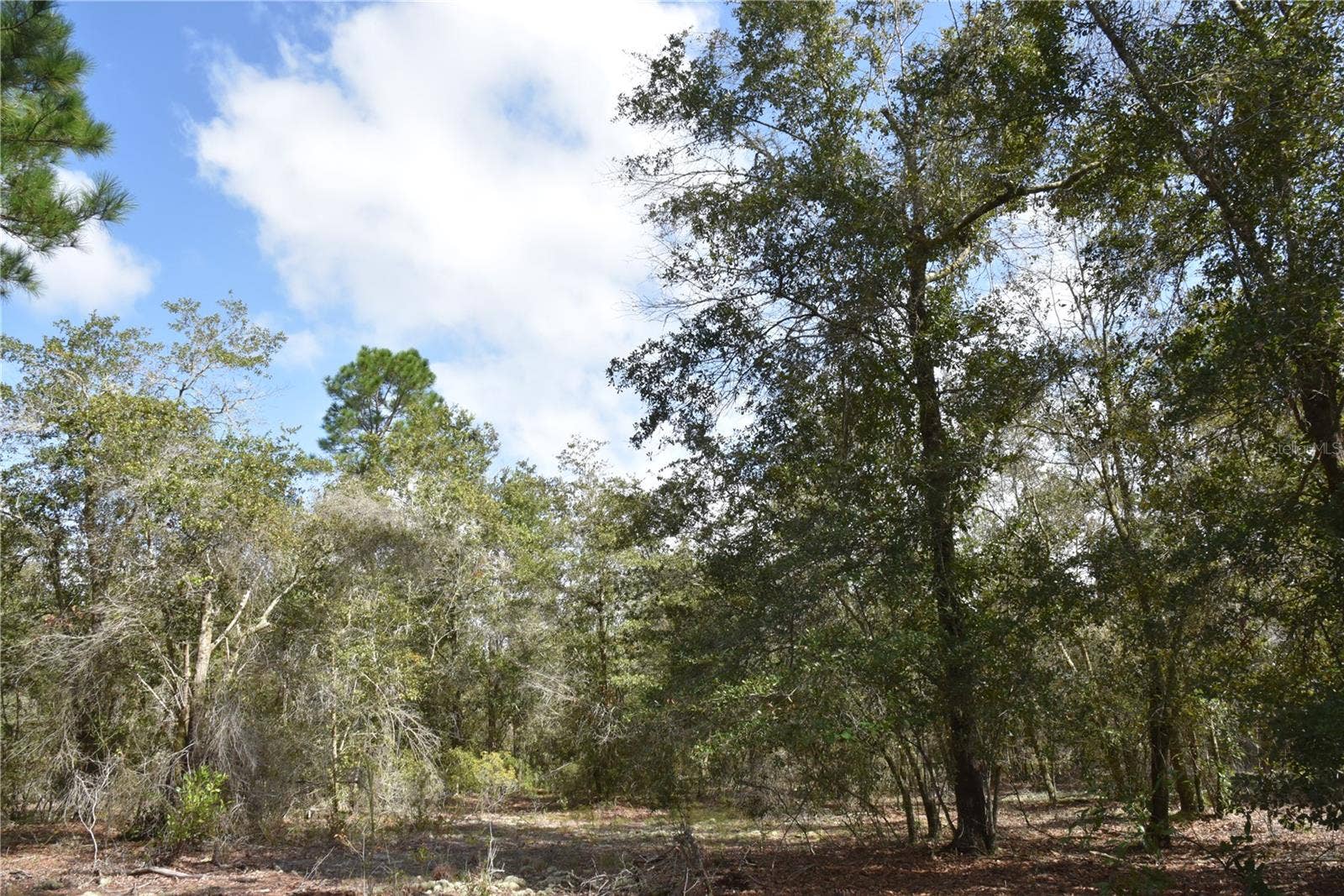 9150 SE US HIGHWAY 301, Hawthorne, FL 32640 9150 SE US HIGHWAY 301, Hawthorne, FL 32640