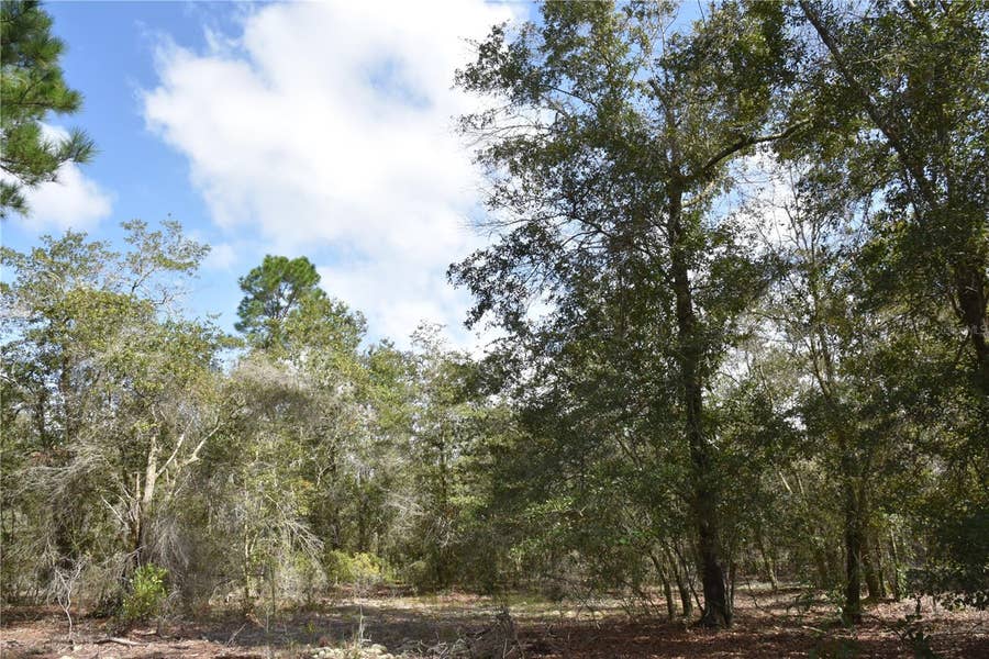 Property photo for 9150 SE US HIGHWAY 301, Hawthorne, FL