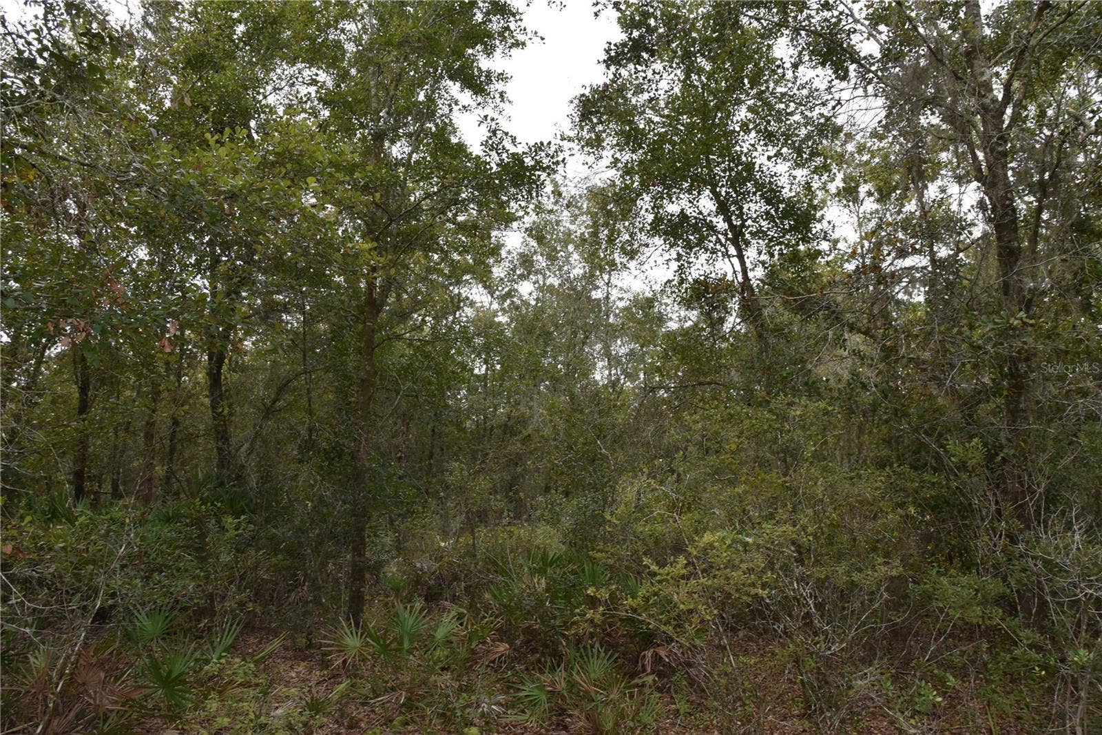 9150 SE US HIGHWAY 301, Hawthorne, FL 32640 9150 SE US HIGHWAY 301, Hawthorne, FL 32640