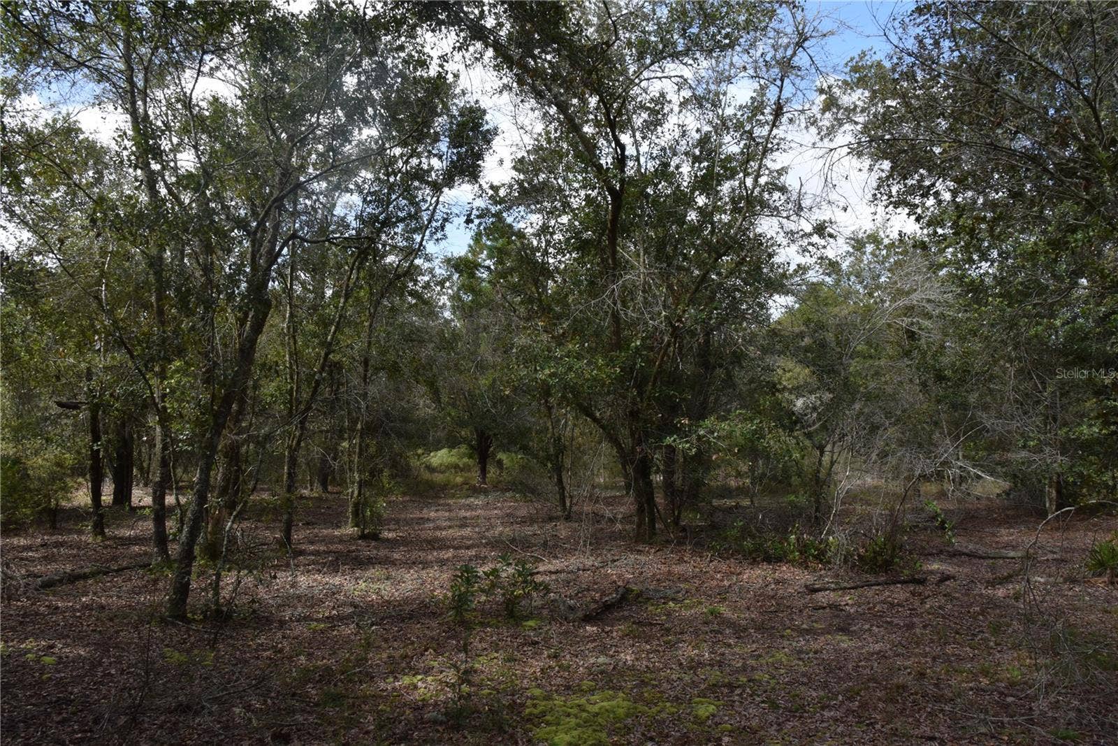 9150 SE US HIGHWAY 301, Hawthorne, FL 32640 9150 SE US HIGHWAY 301, Hawthorne, FL 32640