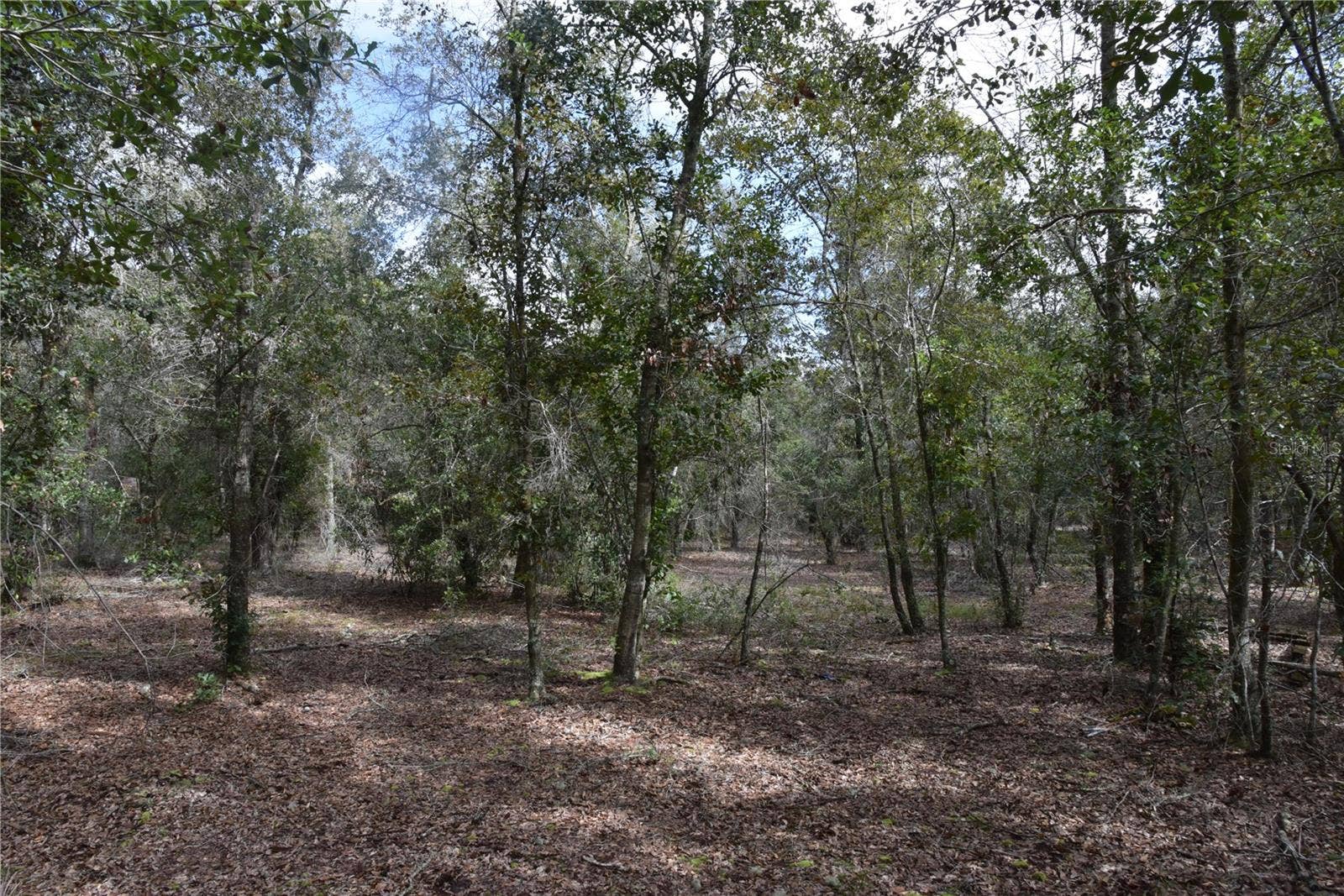 9150 SE US HIGHWAY 301, Hawthorne, FL 32640 9150 SE US HIGHWAY 301, Hawthorne, FL 32640