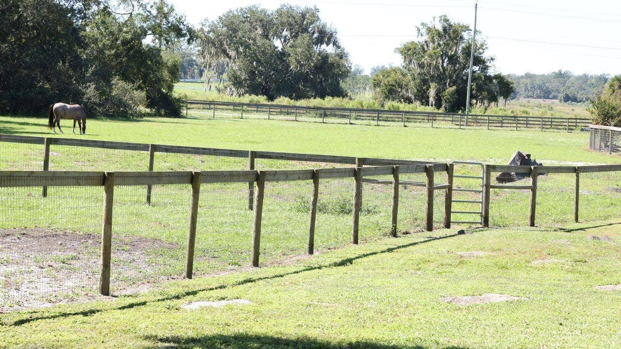 9238 FORT KING ROAD, Dade City, FL 33525 9238 FORT KING ROAD, Dade City, FL 33525