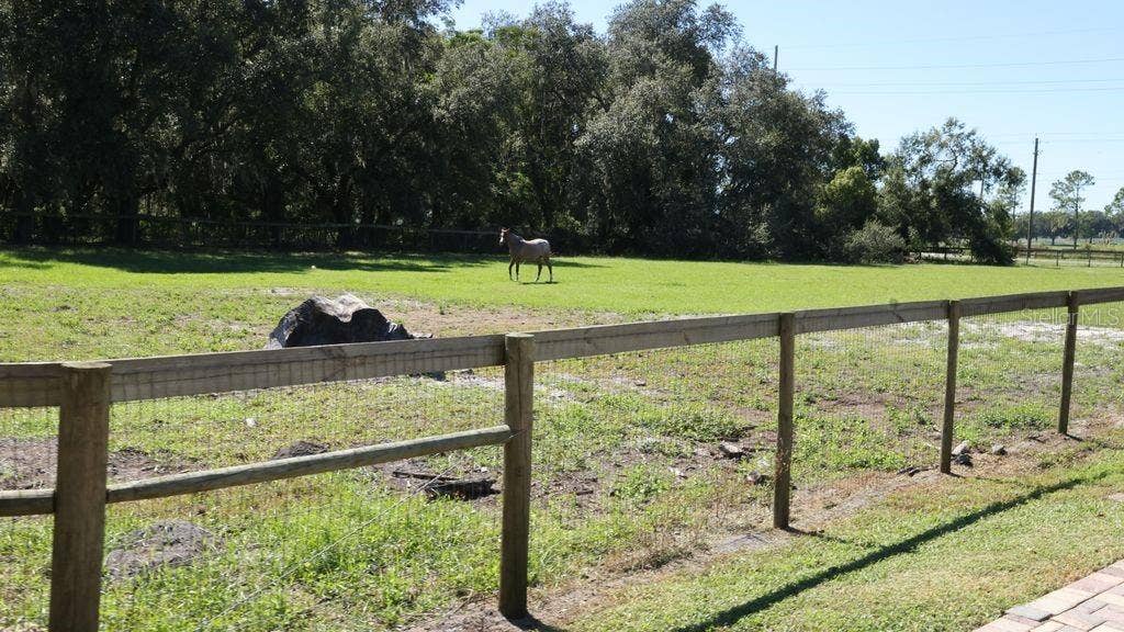 9238 FORT KING ROAD, Dade City, FL 33525 9238 FORT KING ROAD, Dade City, FL 33525