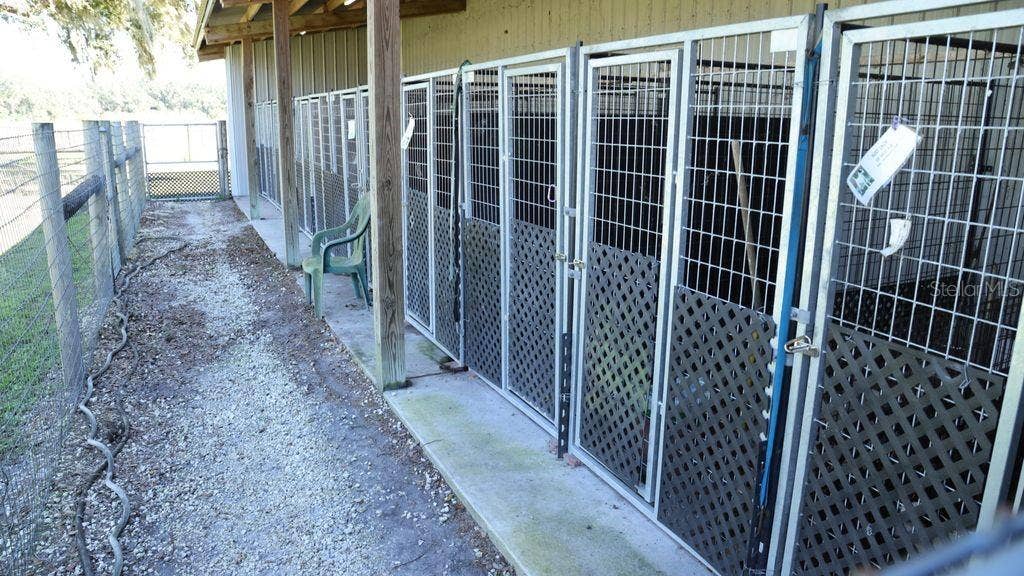 9238 FORT KING ROAD, Dade City, FL 33525 KENNELS