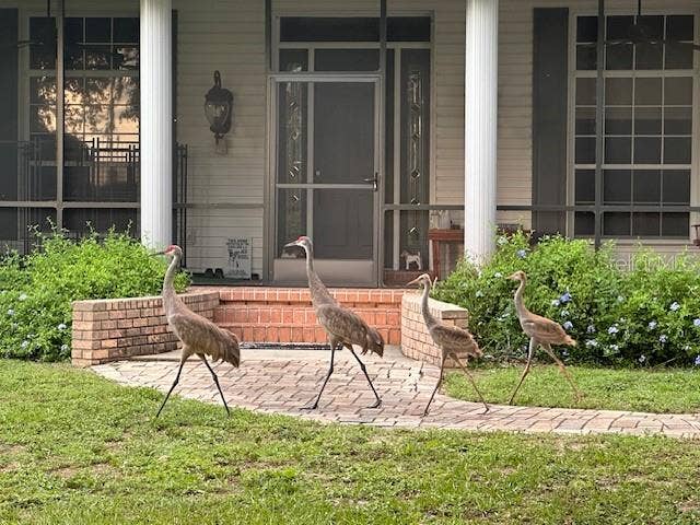 9238 FORT KING ROAD, Dade City, FL 33525 FRONT PORCH FULLY SCREENED