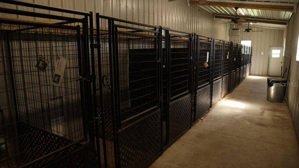 9238 FORT KING ROAD, Dade City, FL 33525 KENNELS