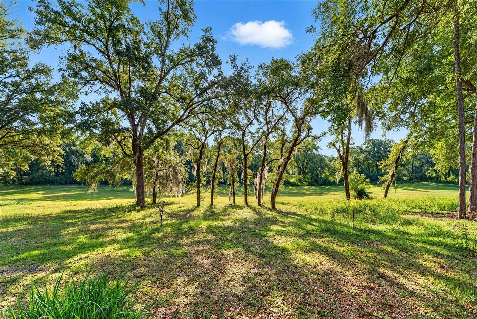 9147 SW 193RD CIRCLE, Dunnellon, FL 34432 9147 SW 193RD CIRCLE, Dunnellon, FL 34432