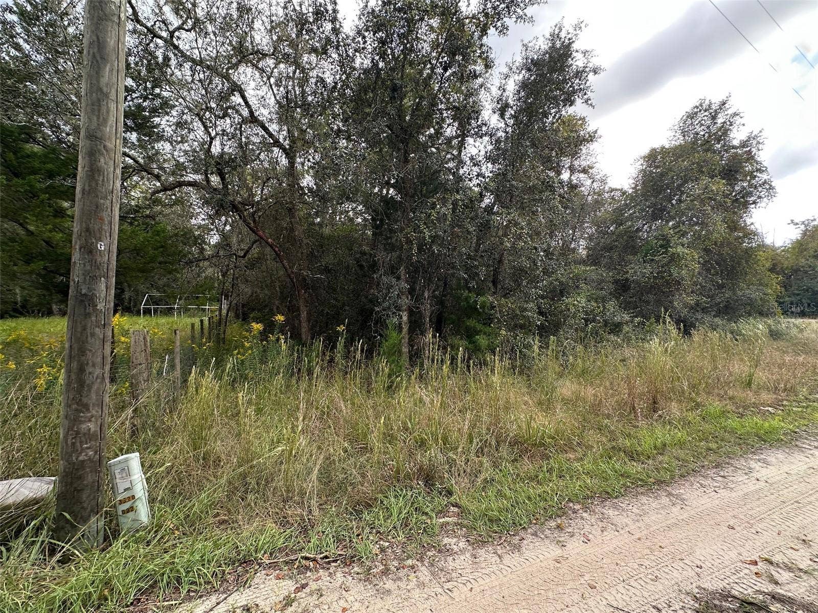 0 NE 236TH STREET, Salt Springs, FL 32134