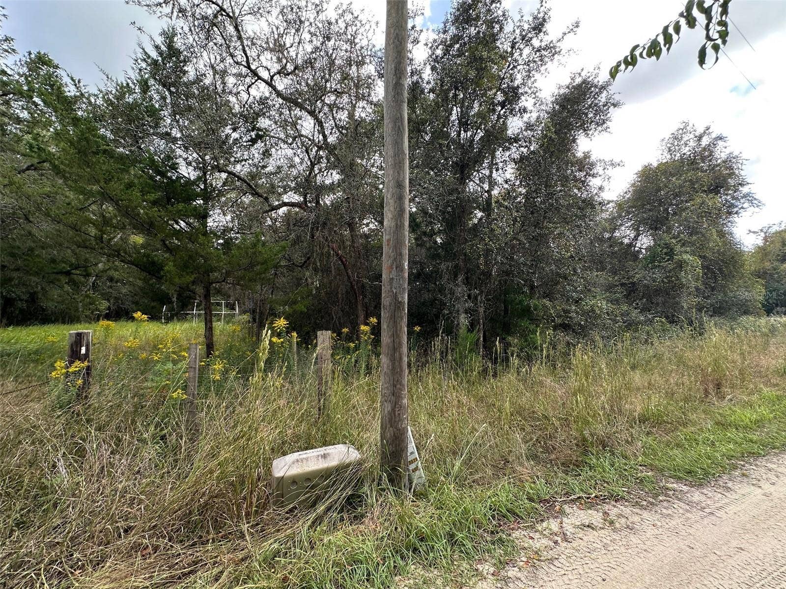 0 NE 236TH STREET, Salt Springs, FL 32134