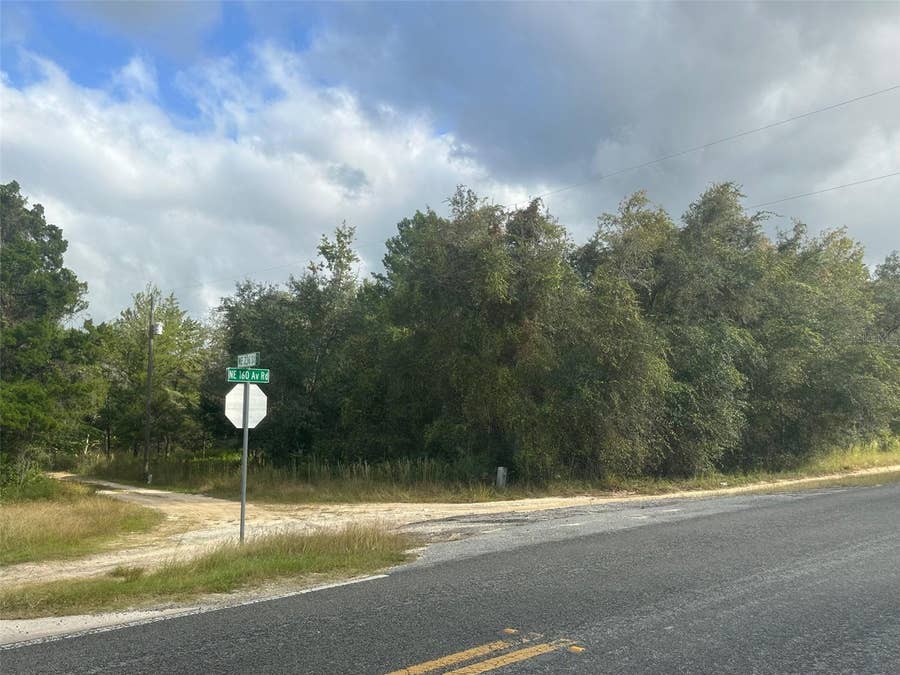 Property photo for 0 NE 236TH STREET, Salt Springs, FL