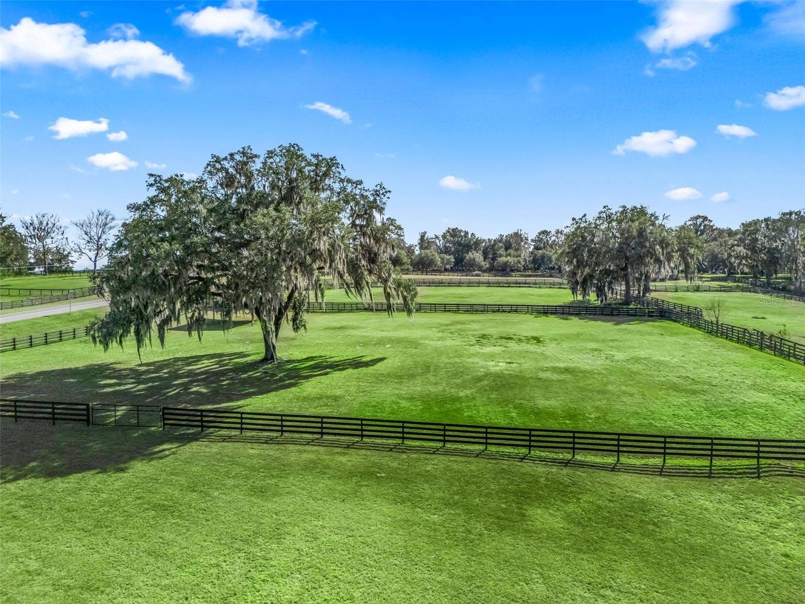 14440 NW HIGHWAY 225A, Reddick, FL 32686