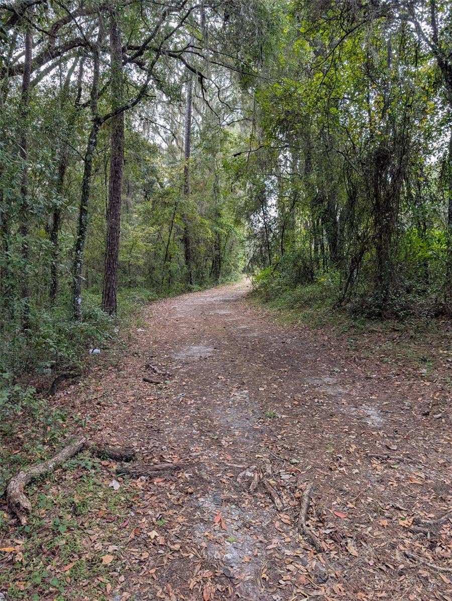 Property photo for 0 NW HWY 464B, Morriston, FL