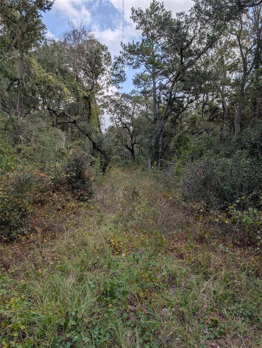 0 NW HWY 464B, Morriston, FL 32668 0 NW HWY 464B, Morriston, FL 32668
