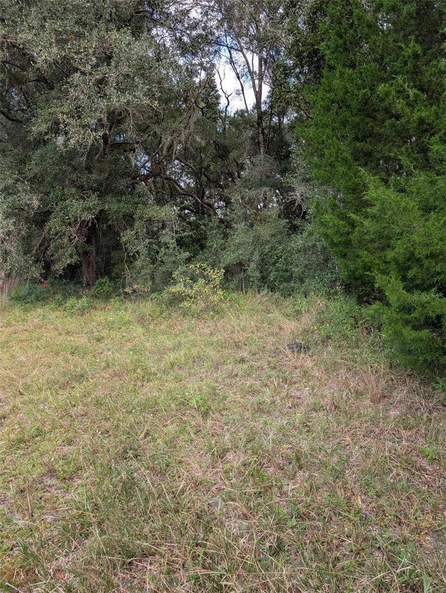 0 NW HWY 464B, Morriston, FL 32668 0 NW HWY 464B, Morriston, FL 32668