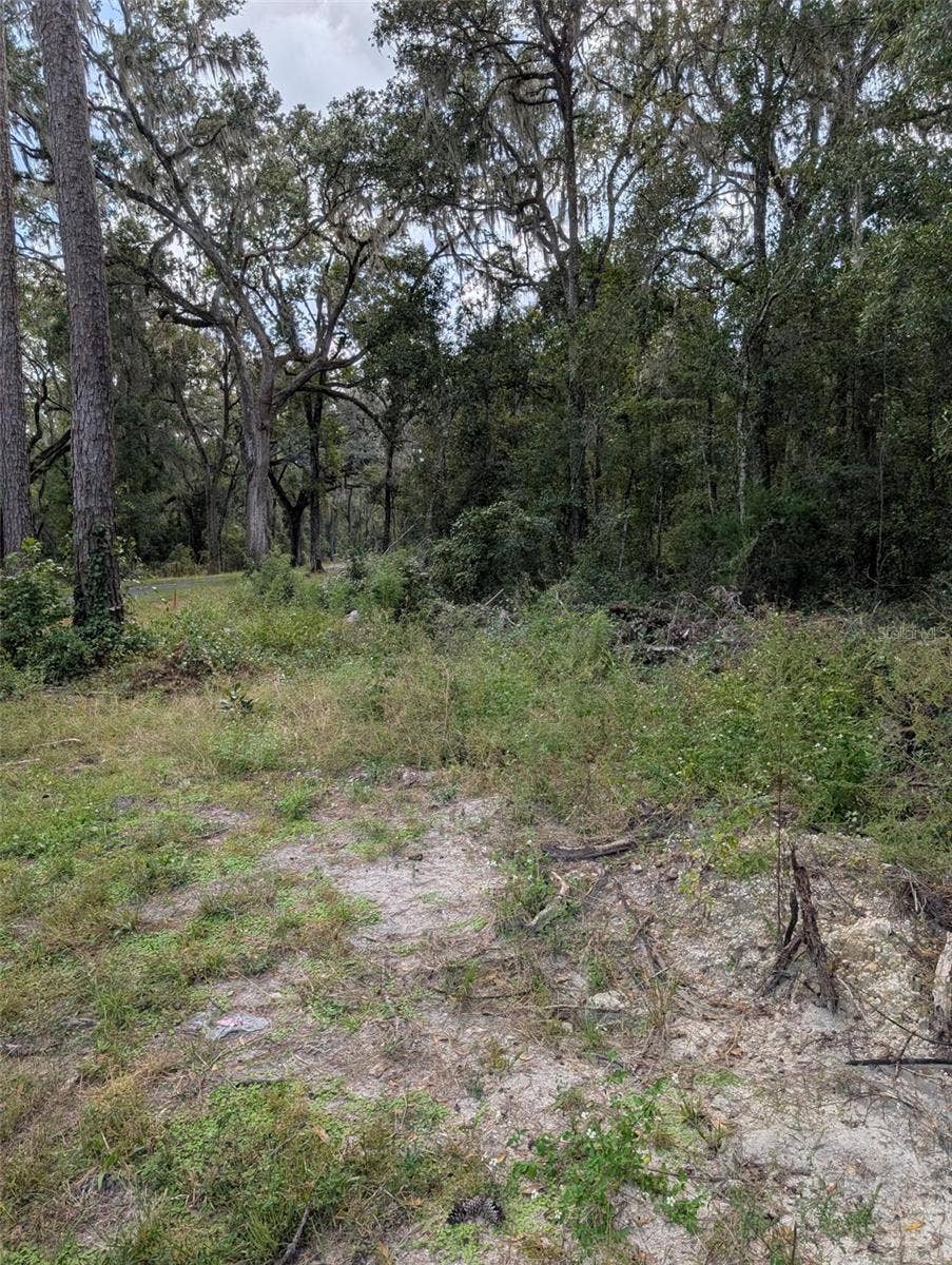 0 NW HWY 464B, Morriston, FL 32668 0 NW HWY 464B, Morriston, FL 32668