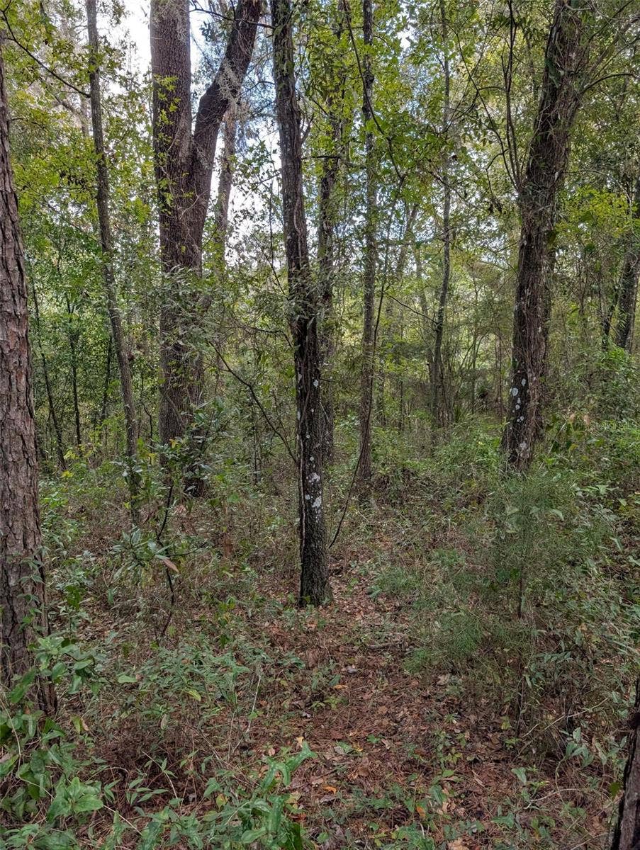 0 NW HWY 464B, Morriston, FL 32668 0 NW HWY 464B, Morriston, FL 32668