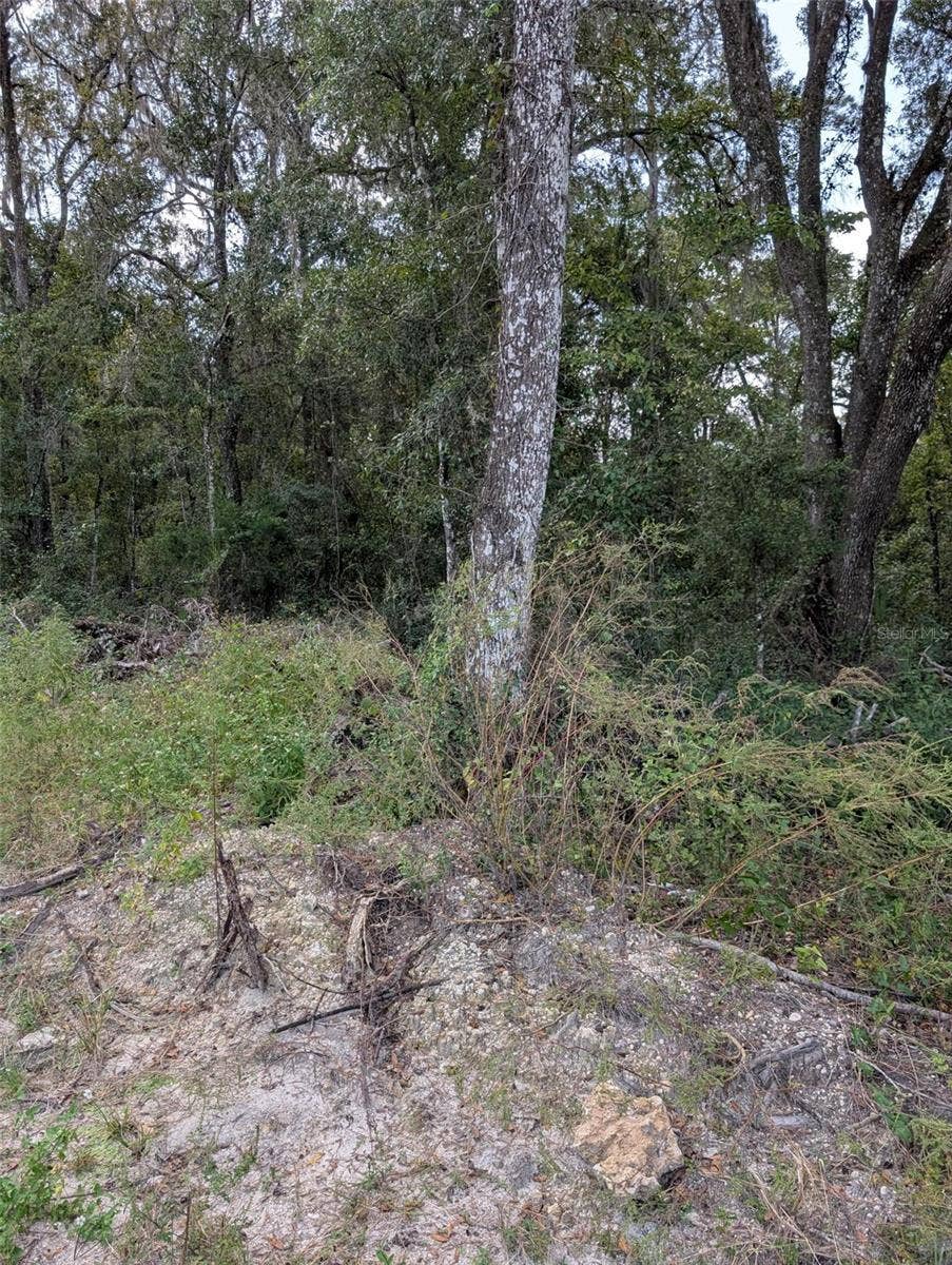 0 NW HWY 464B, Morriston, FL 32668 0 NW HWY 464B, Morriston, FL 32668