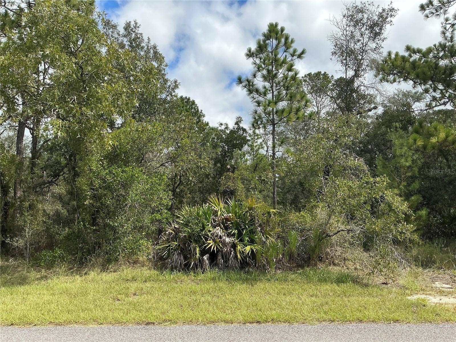 12510 MARBLED GODWIT ROAD, Weeki Wachee, FL 34614 12510 MARBLED GODWIT ROAD, Weeki Wachee, FL 34614