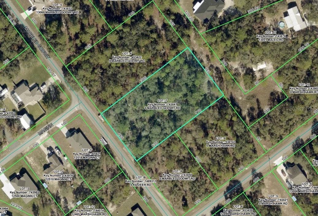 12510 MARBLED GODWIT ROAD, Weeki Wachee, FL 34614 12510 MARBLED GODWIT ROAD, Weeki Wachee, FL 34614