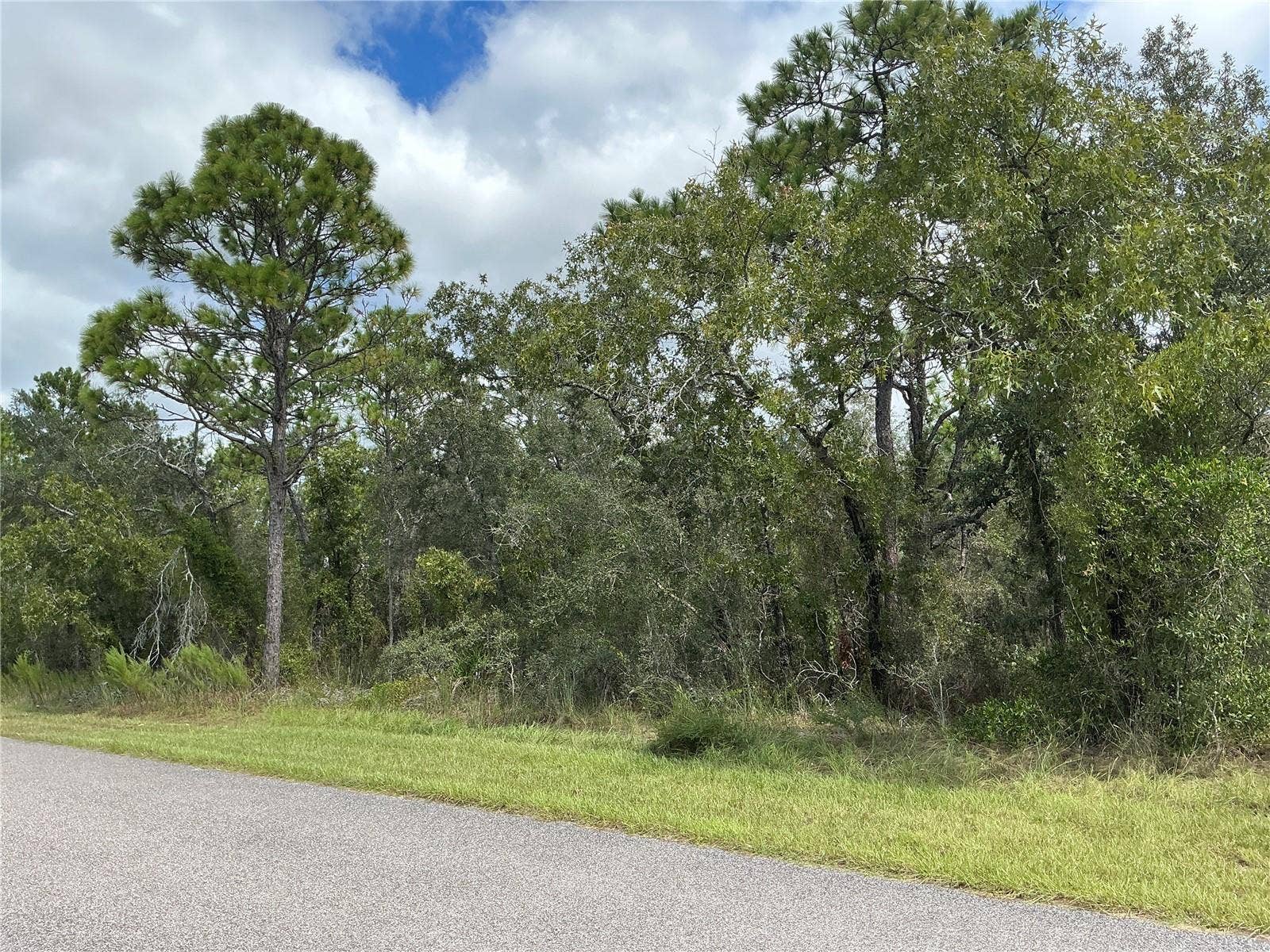 12510 MARBLED GODWIT ROAD, Weeki Wachee, FL 34614 12510 MARBLED GODWIT ROAD, Weeki Wachee, FL 34614