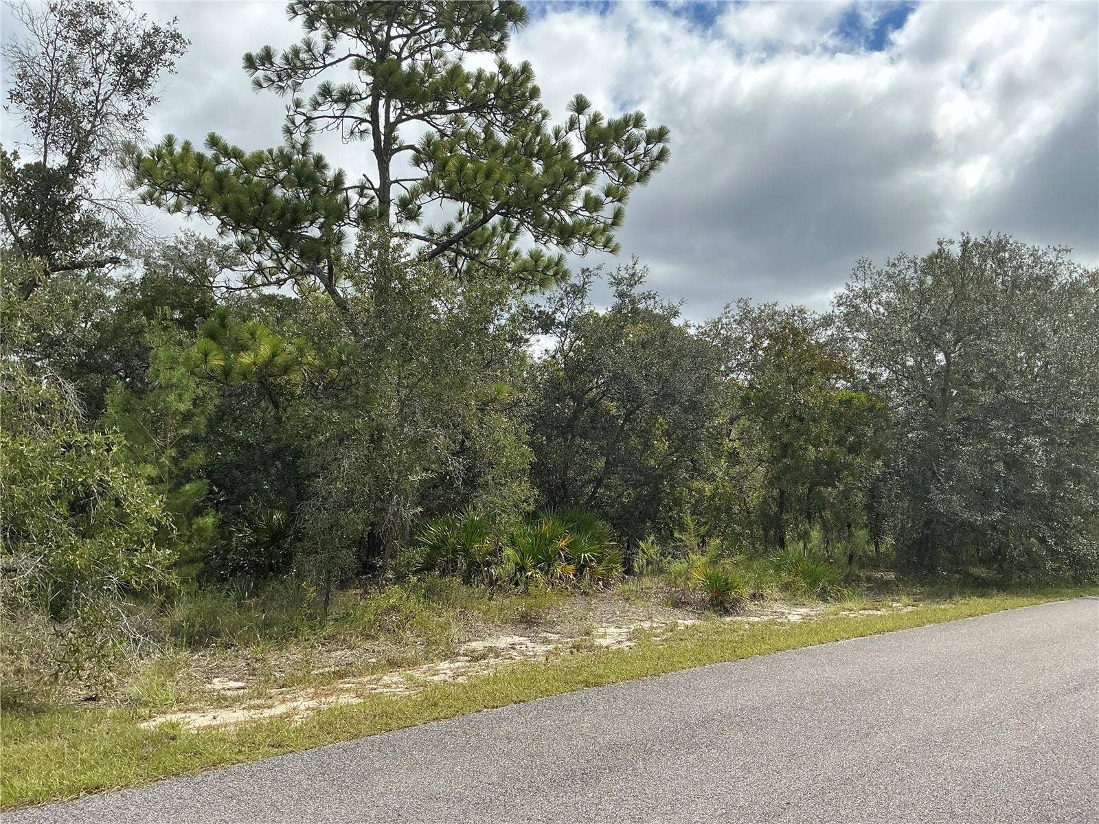 12510 MARBLED GODWIT ROAD, Weeki Wachee, FL 34614 12510 MARBLED GODWIT ROAD, Weeki Wachee, FL 34614