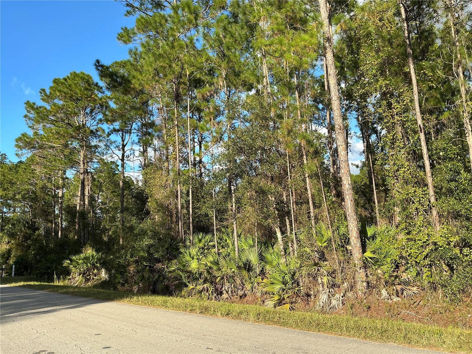 1589 AVOCADO BOULEVARD, Bunnell, FL 32110 1589 AVOCADO BOULEVARD, Bunnell, FL 32110