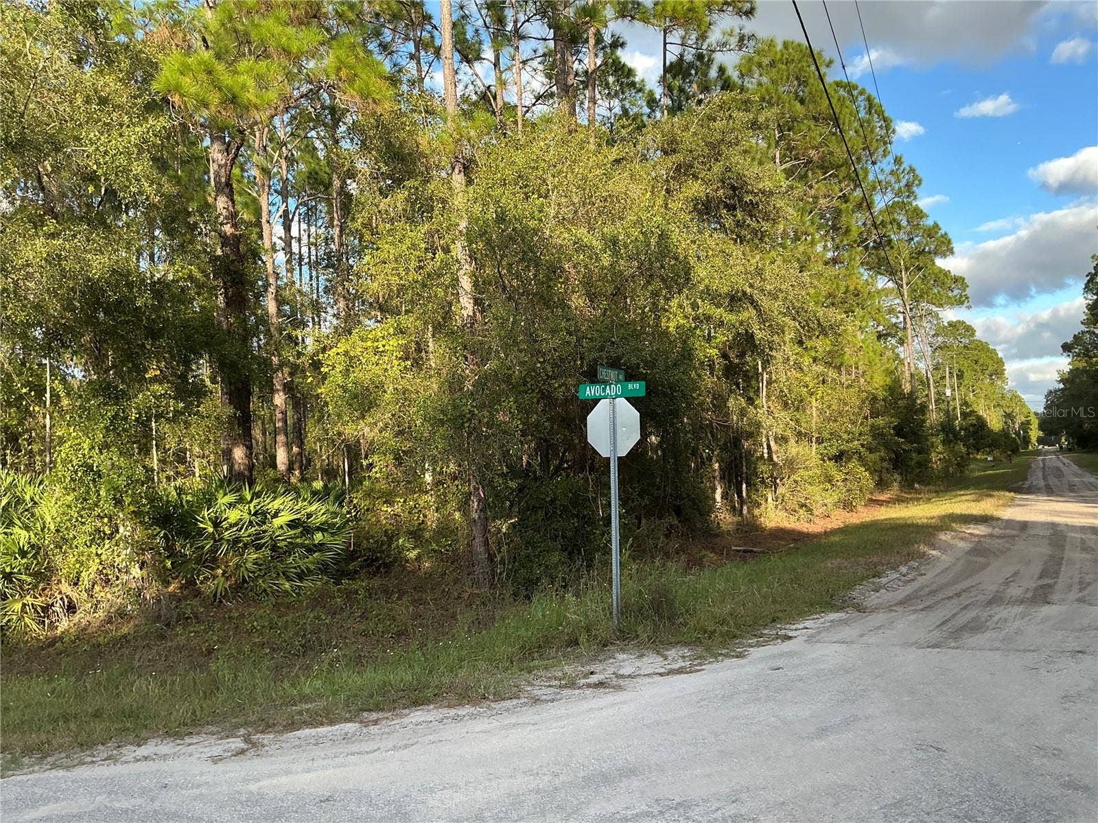 1589 AVOCADO BOULEVARD, Bunnell, FL 32110 1589 AVOCADO BOULEVARD, Bunnell, FL 32110