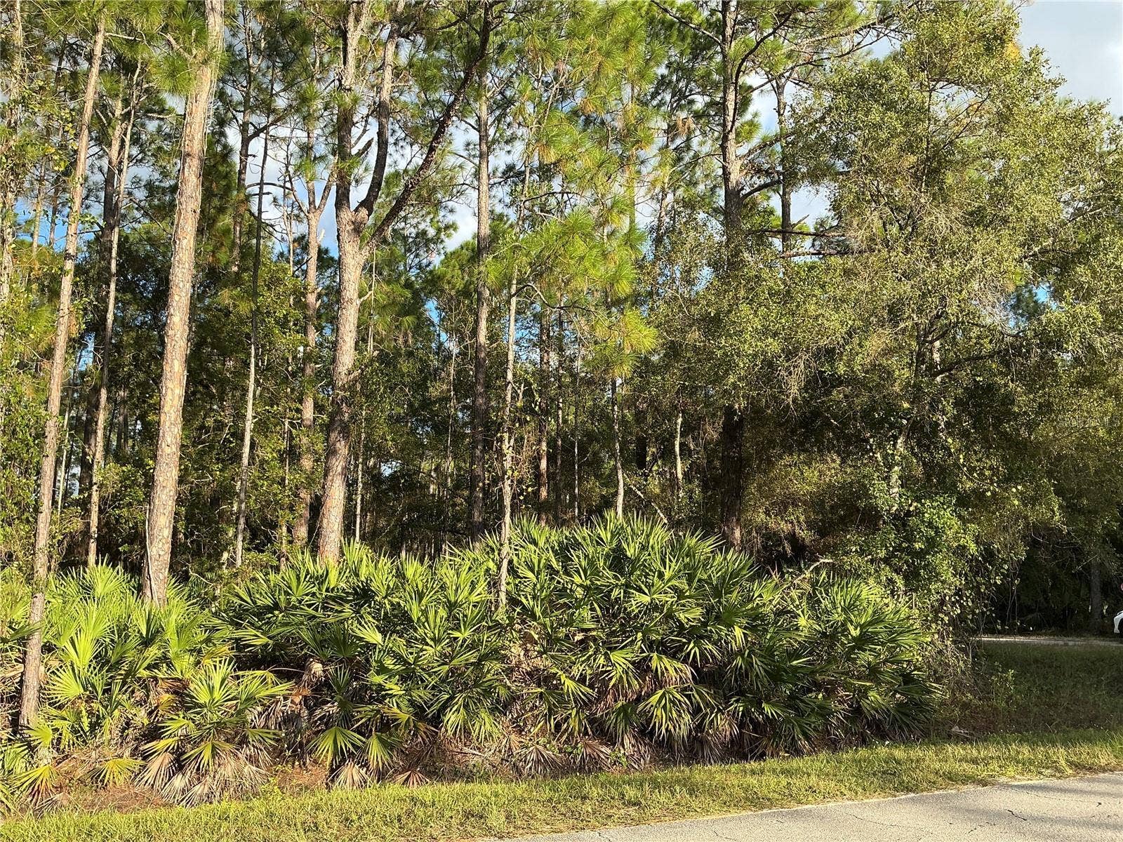 1589 AVOCADO BOULEVARD, Bunnell, FL 32110 1589 AVOCADO BOULEVARD, Bunnell, FL 32110