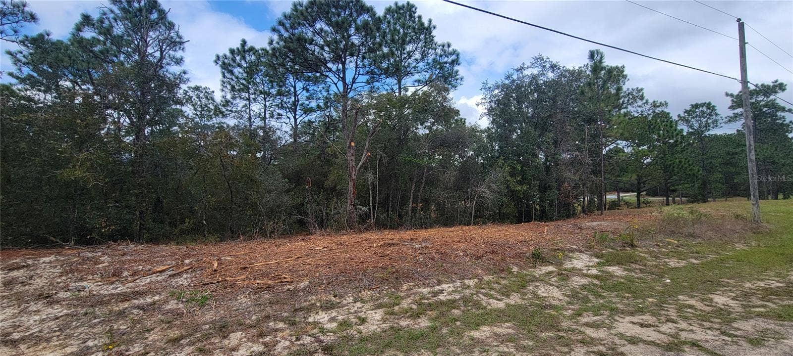 9172 N MARCUS WAY, Dunnellon, FL 34433