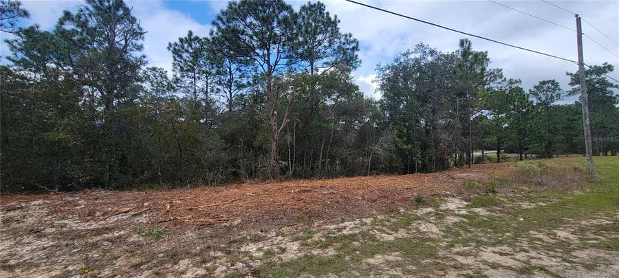 Property photo for 9172 N MARCUS WAY, Dunnellon, FL