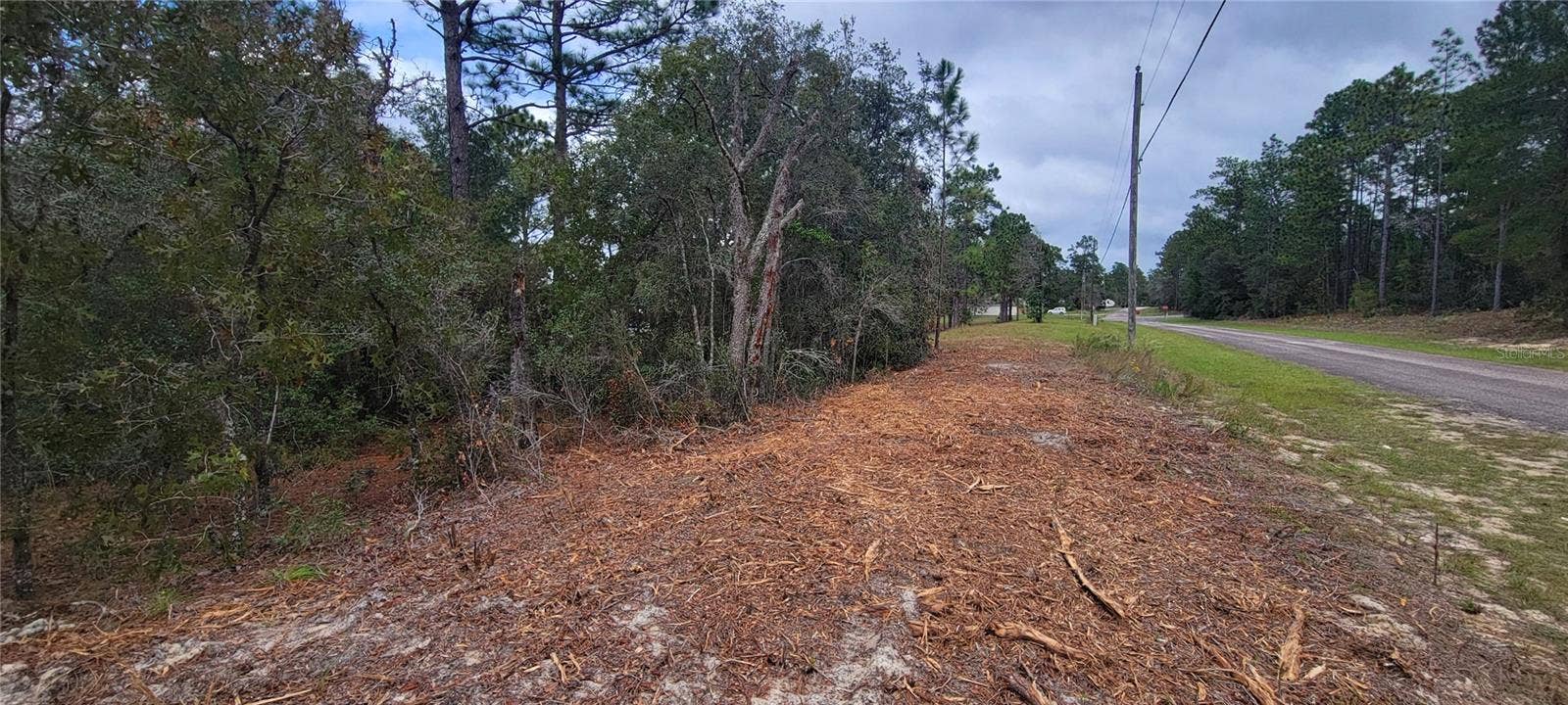 9172 N MARCUS WAY, Dunnellon, FL 34433
