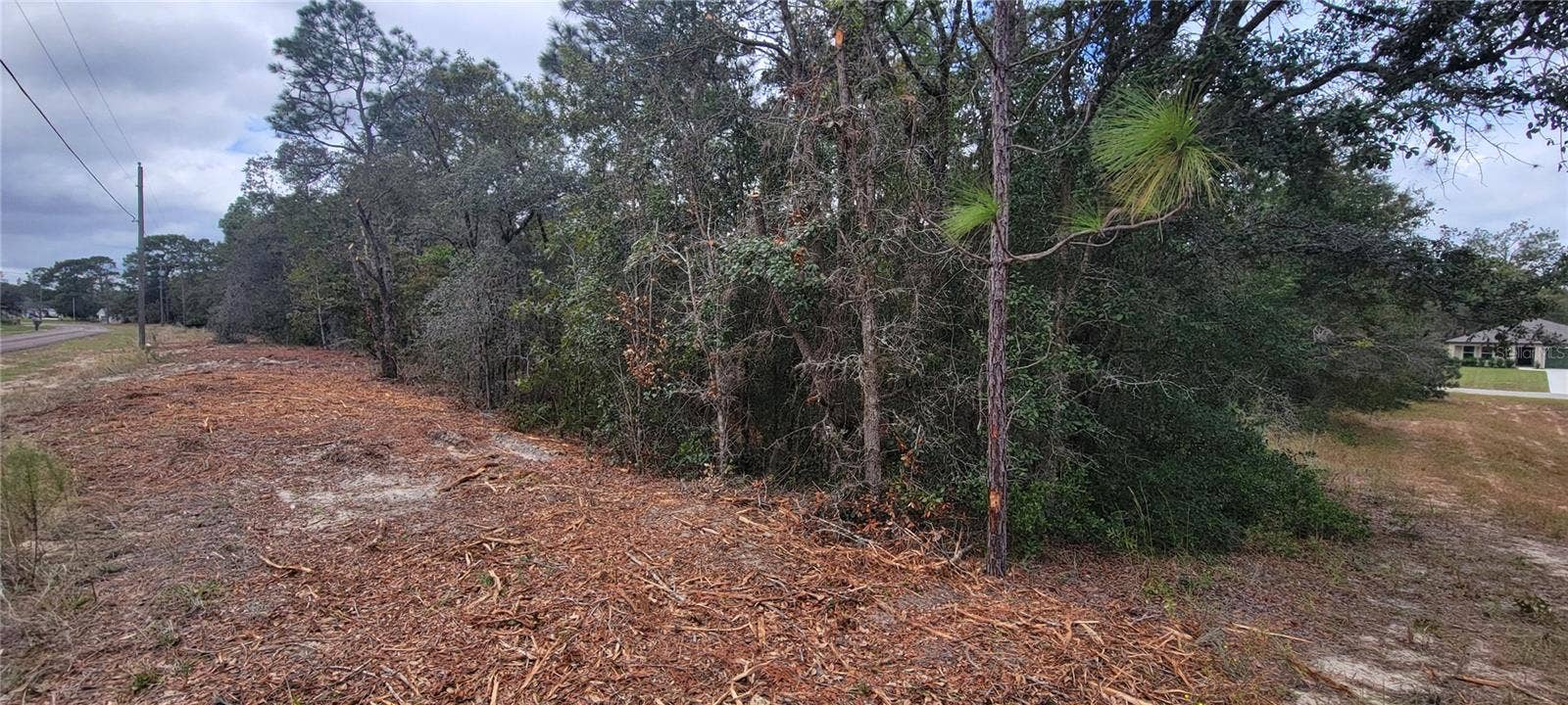9172 N MARCUS WAY, Dunnellon, FL 34433