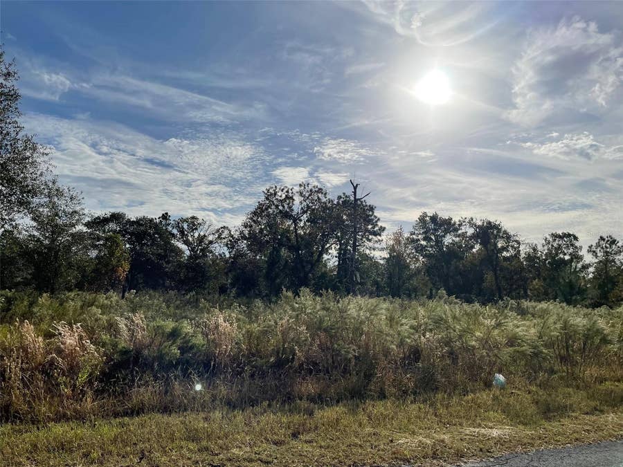 Property photo for LOT 34 SW MARIGOLD CT, Dunnellon, FL
