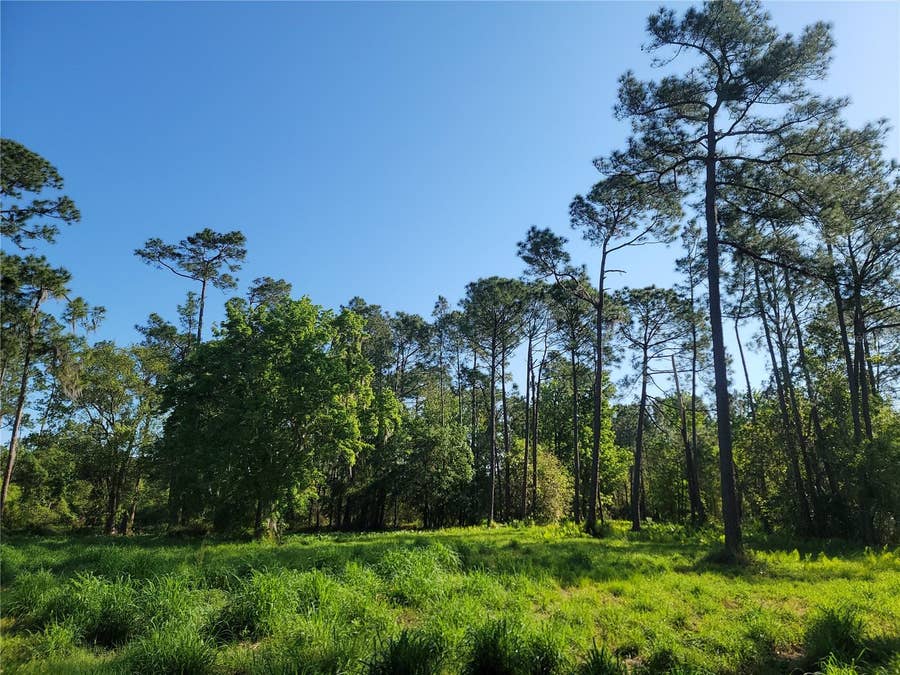 Property photo for POLLARD ROAD, Winter Haven, FL