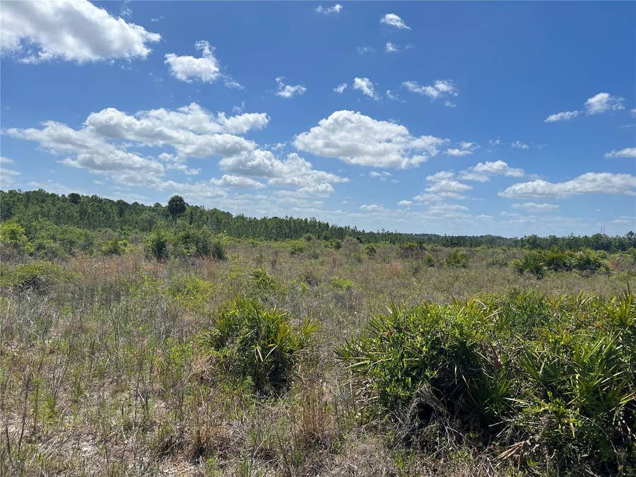 Property photo for HWY 40, Dunnellon, FL