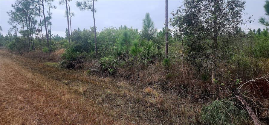 Property photo for 619 CALENDULA DRIVE, Indian Lake Estates, FL