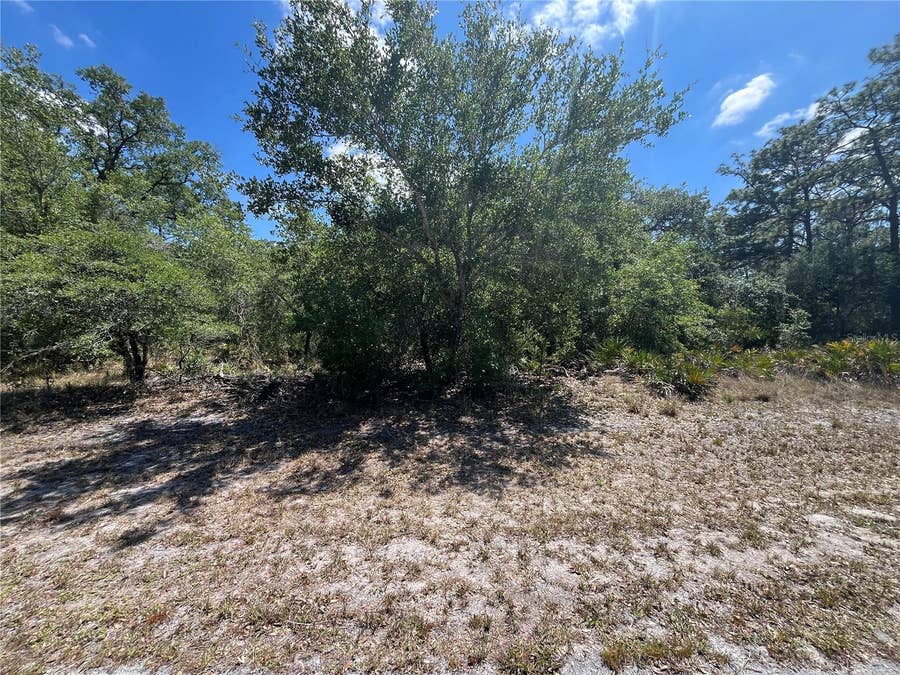 Property photo for OLEANDER DRIVE, Indian Lake Estates, FL