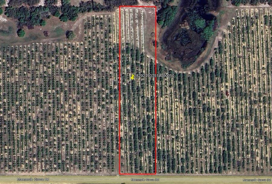Property photo for MAMMOTH GROVE ROAD, Lake Wales, FL