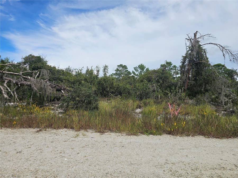 Property photo for 123 PATTON AVENUE, Lake Placid, FL