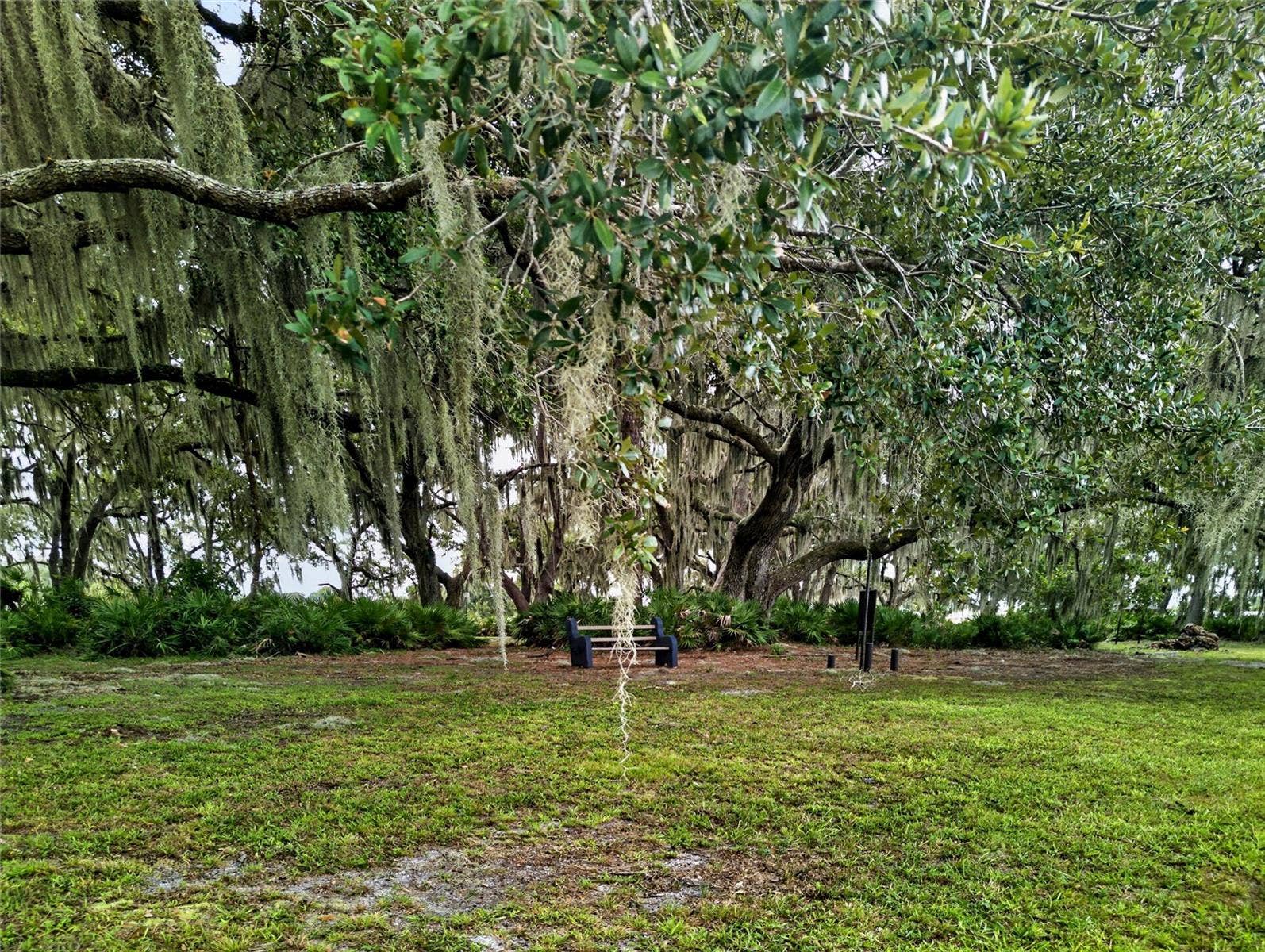 4409 CLUB CIRCLE, Lake Wales, FL 33898 Relaxing Nature Trails on the Island.