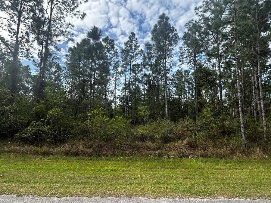 Property photo for 207 GARDENIA DRIVE, Lake Wales, FL