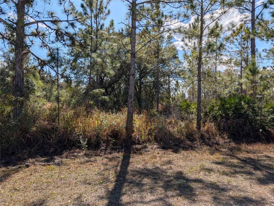 Property photo for 711 AZALEA DRIVE, Indian Lake Estates, FL