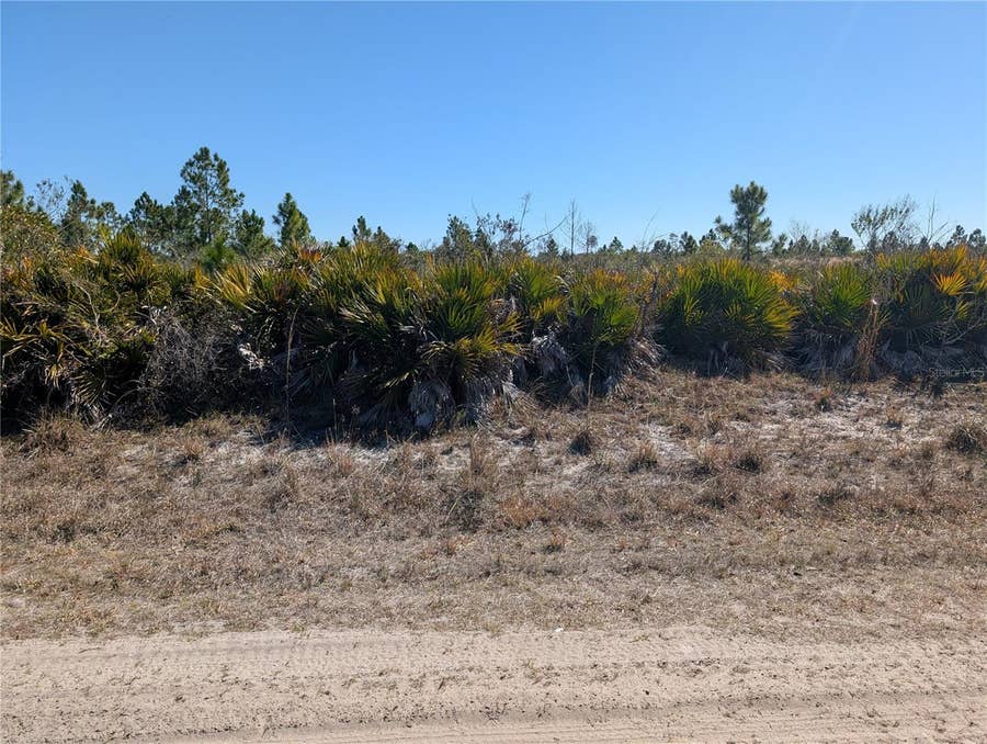 Property photo for 1211 PINNATA DRIVE, Indian Lake Estates, FL