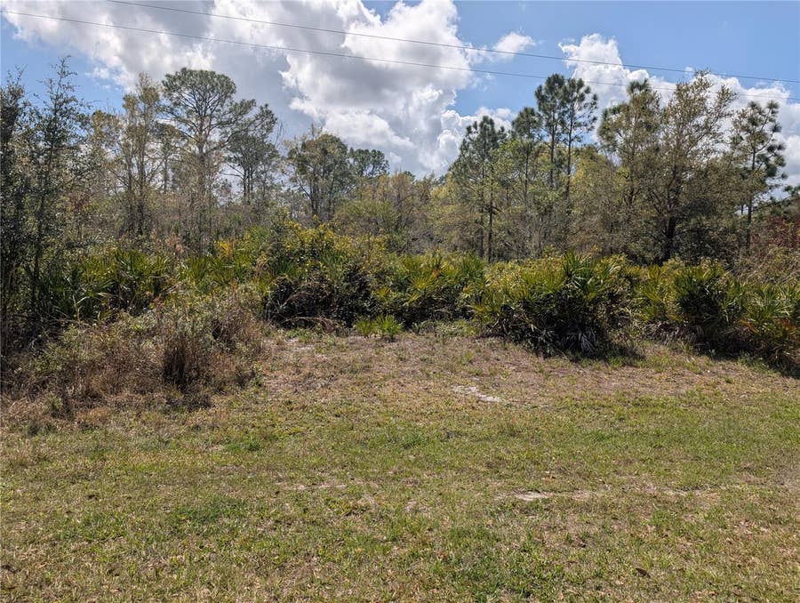 Property photo for 817 POINCIANA DRIVE, Indian Lake Estates, FL
